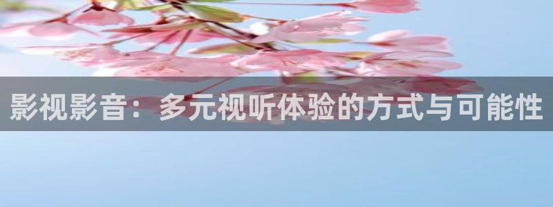 河北省南瓜：影視影音：多元視聽體驗的方式與可能性