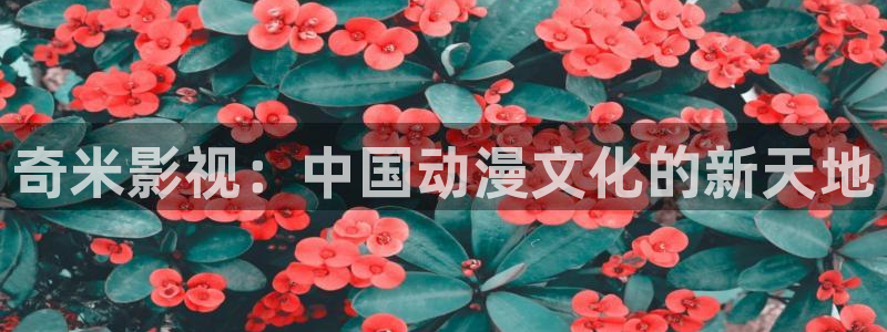 南瓜影音：奇米影視：中國動漫文化的新天地