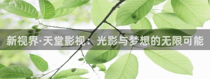 南瓜色眼影：新視界·天堂影視：光影與夢想的無限可能