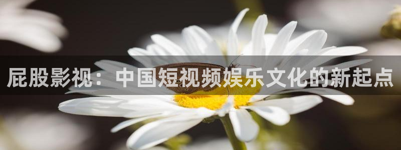 南瓜視頻：屁股影視：中國短視頻娛樂文化的新起點