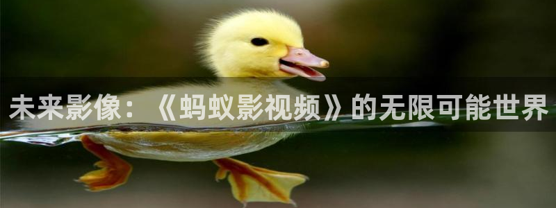 沈陽南瓜