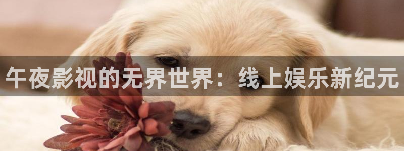 南瓜在線觀看免費(fèi)全集
