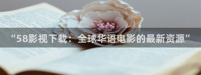 南瓜湖北：“58影視下載：全球華語電影的最新資源”
