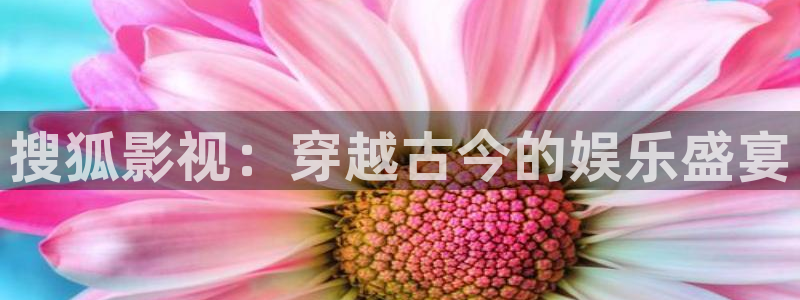 寧夏南瓜