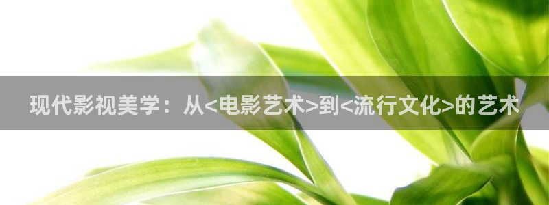 南瓜影視大全高清免費官方版：現代影視美學：從<電影藝術>到<流行文化>的藝術