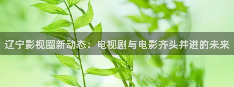 河南密本南瓜：遼寧影視圈新動態：電視劇與電影齊頭并進的未來